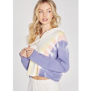 Wildfox Couture Edelweiss Hoodie in Edelweiss Wash Medium